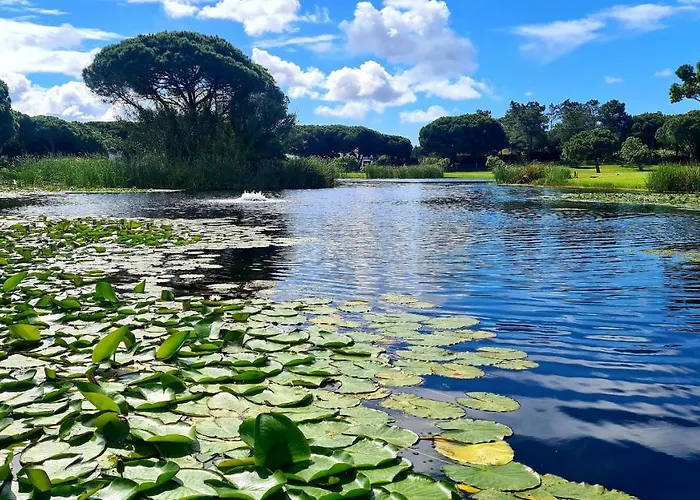 アパート And Blue View アルブフェイラ