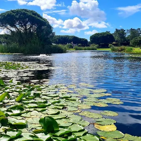 شقة And Blue View البوفيرا